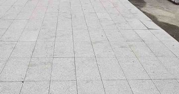 大连芝麻白地铺案例