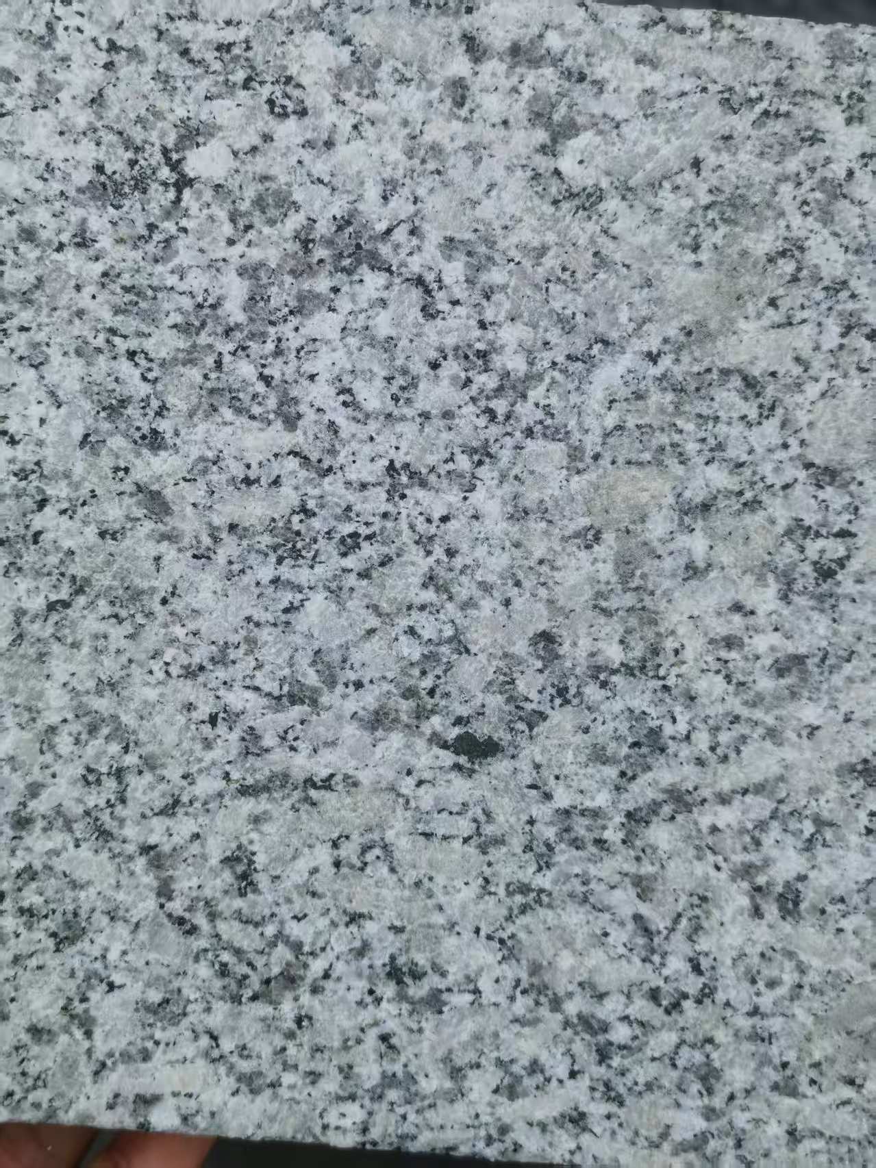 大连 芙蓉白火烧面