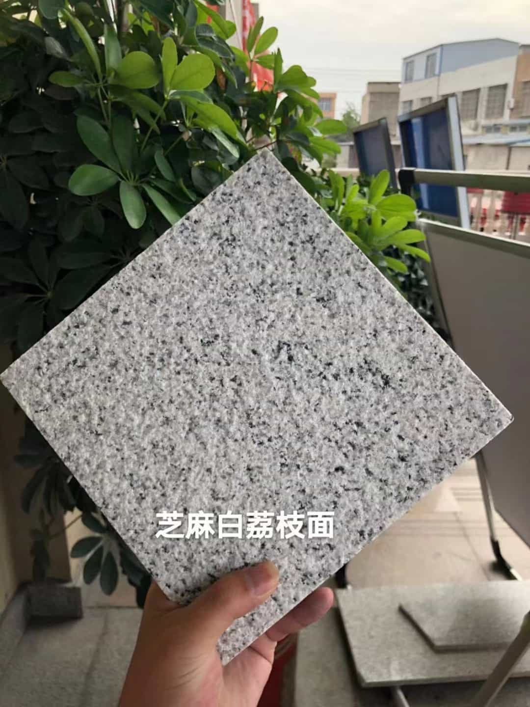 大连 芝麻白荔枝面干挂