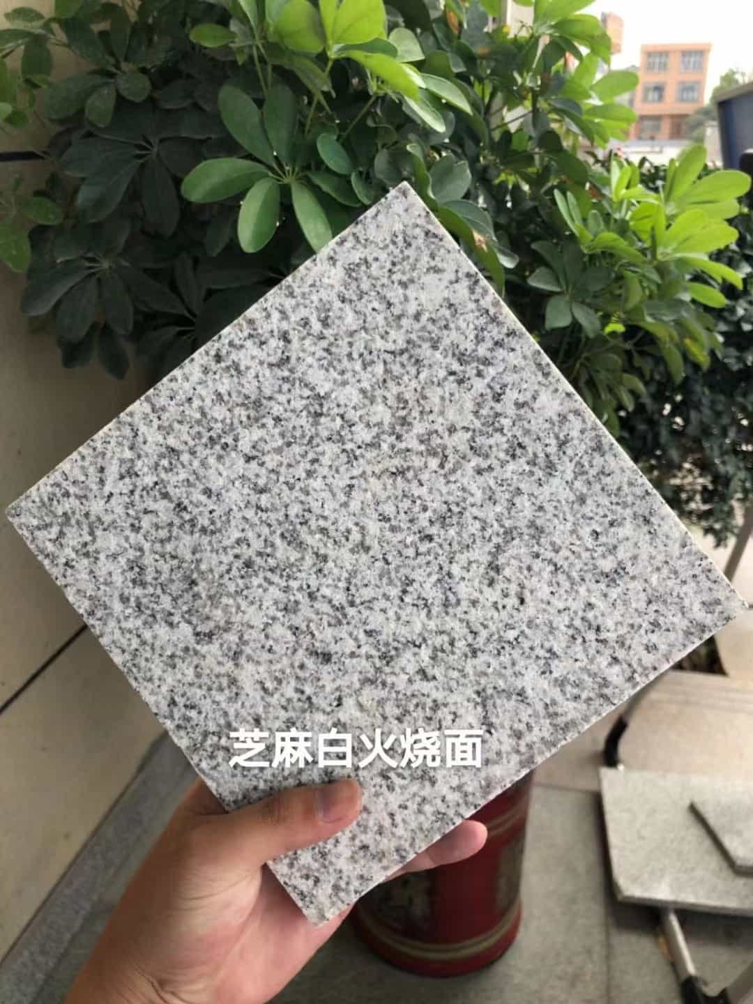 大连芝麻白火烧面地铺